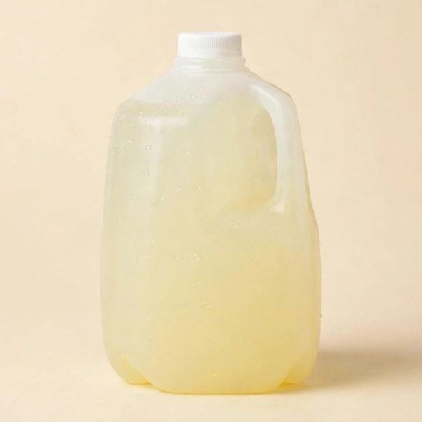 Gallon Beverages, illustrated artwork created for Menuu Guide